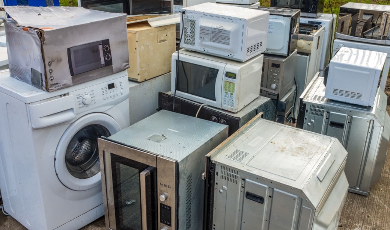 Junk Removal